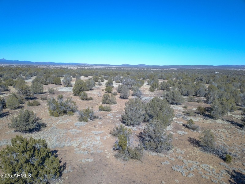 DJI_0077