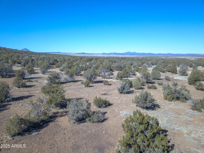 DJI_0078