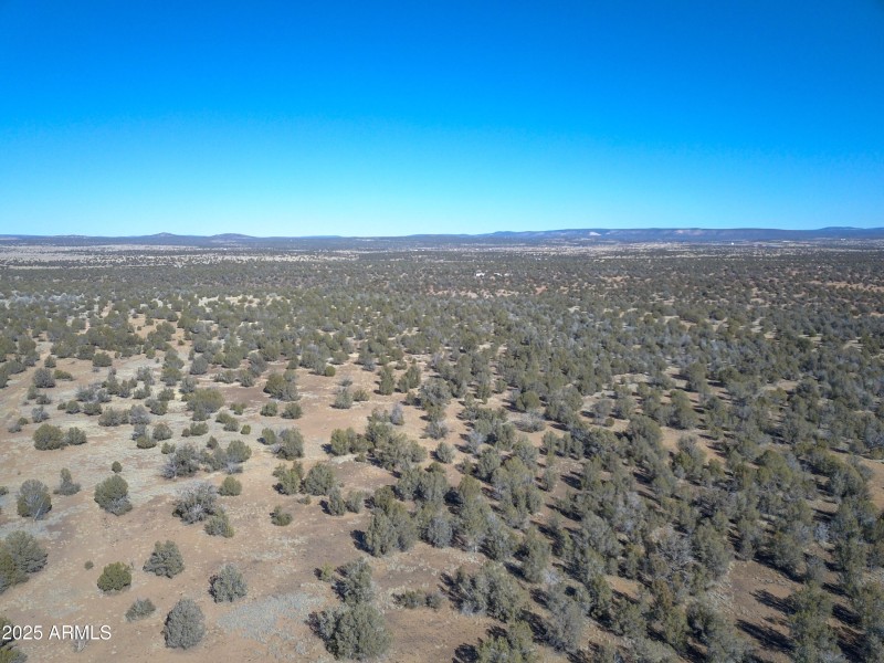 DJI_0080