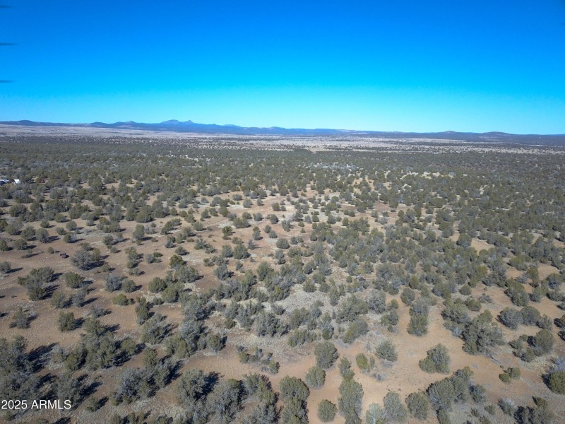 DJI_0081