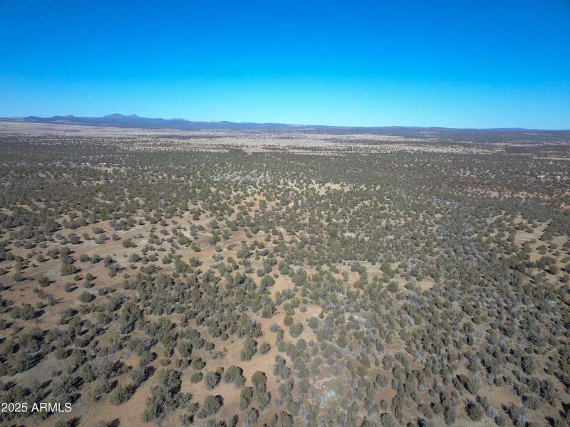 DJI_0084