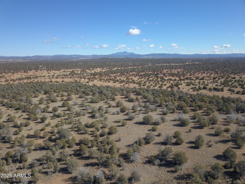DJI_0087