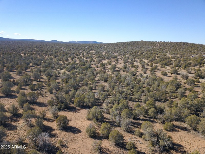 DJI_0088