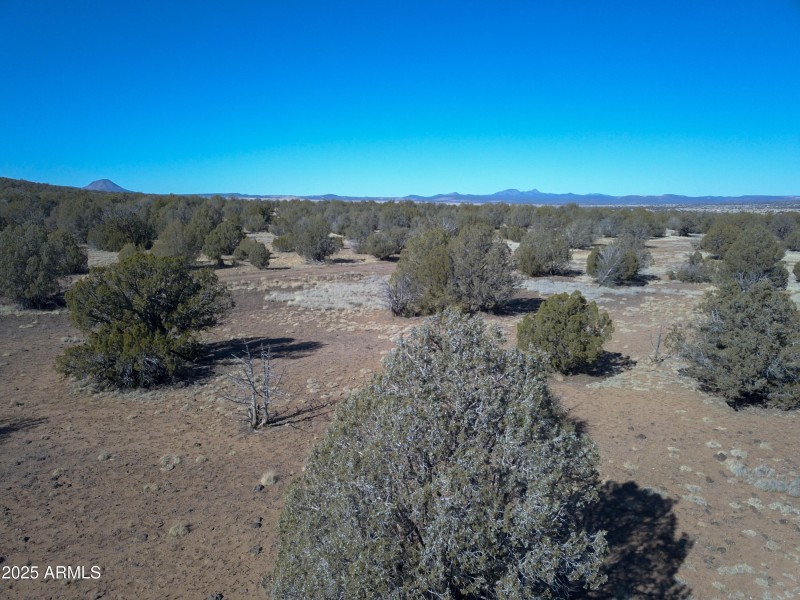 DJI_0091