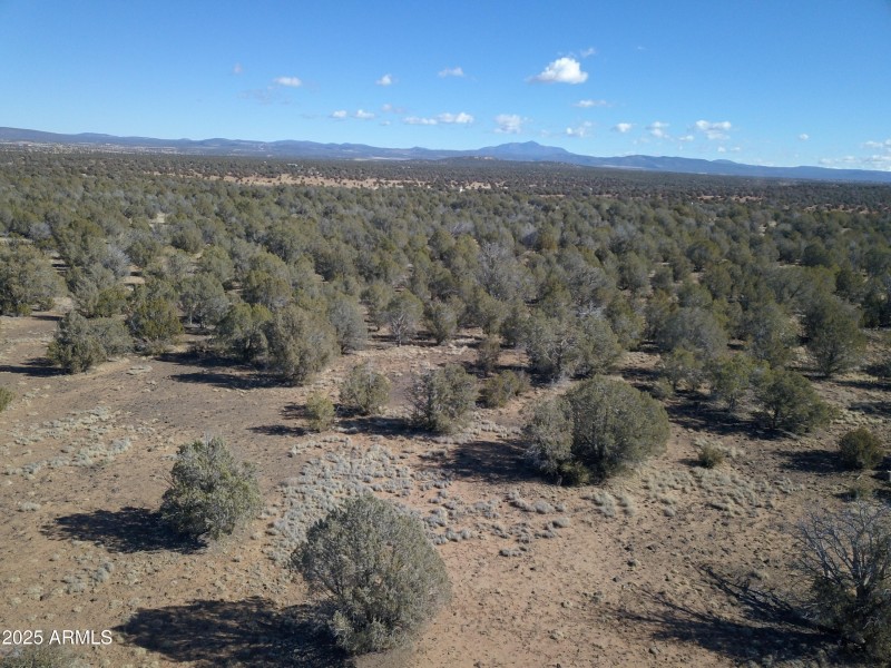 DJI_0093