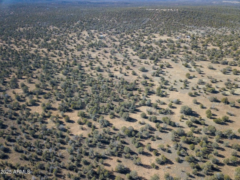 DJI_0095