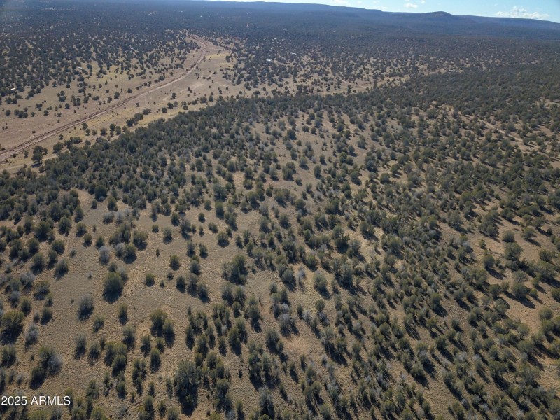 DJI_0096