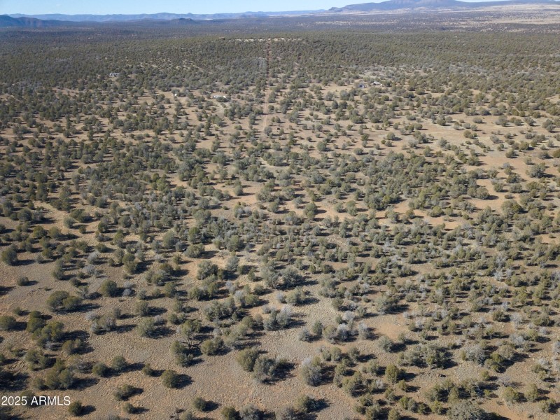 DJI_0097