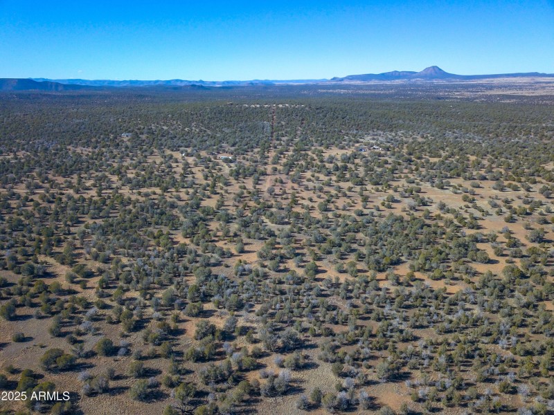 DJI_0098