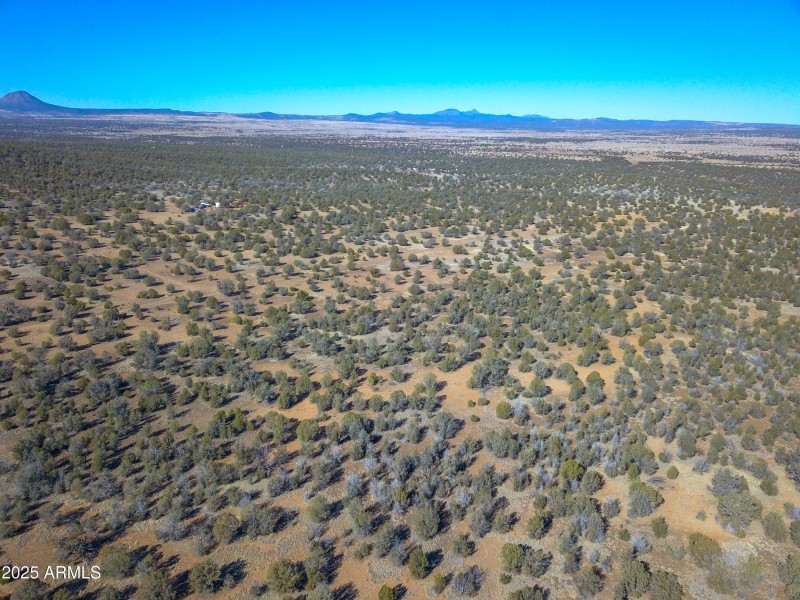 DJI_0099