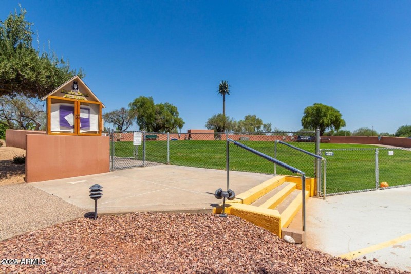 Dog Park