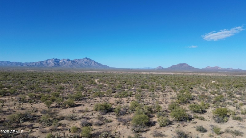 DJI_0331