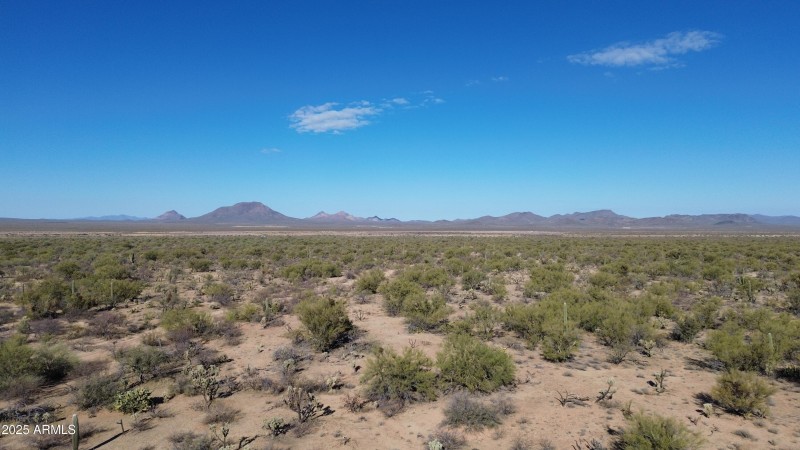 DJI_0345
