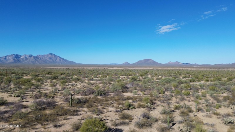 DJI_0351