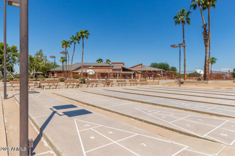 Shuffleboard