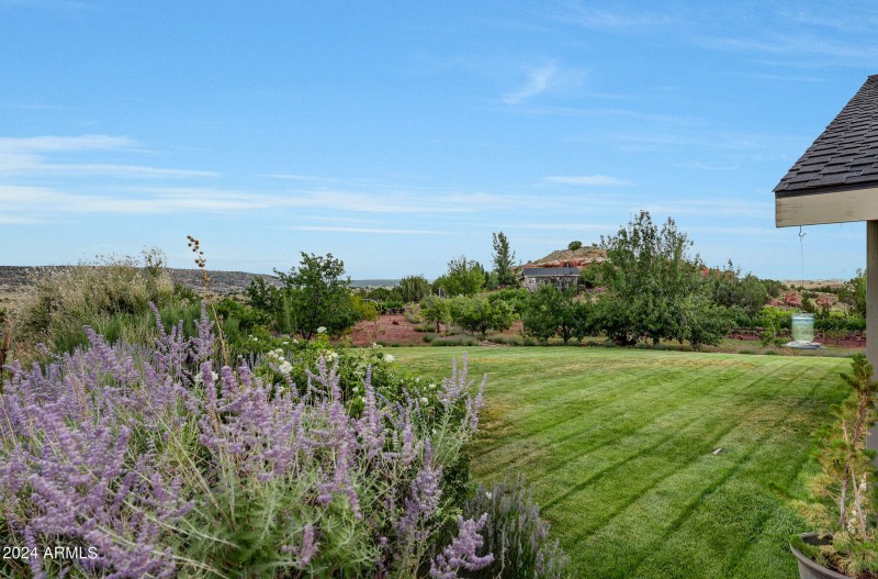 Lavender Farm