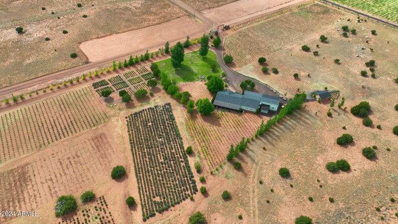 Drone Lavender House