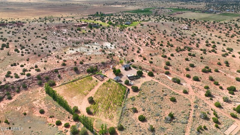 Drone of Vineyard