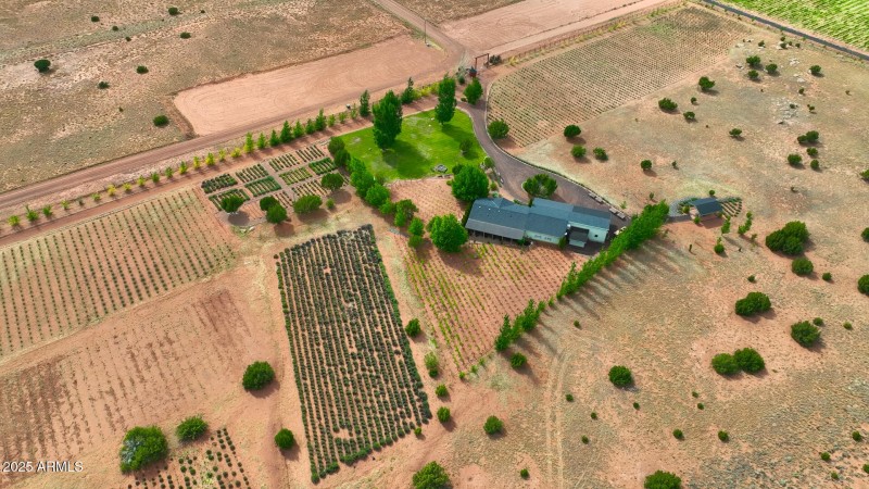 Drone Lavender House