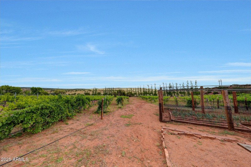 Open Area