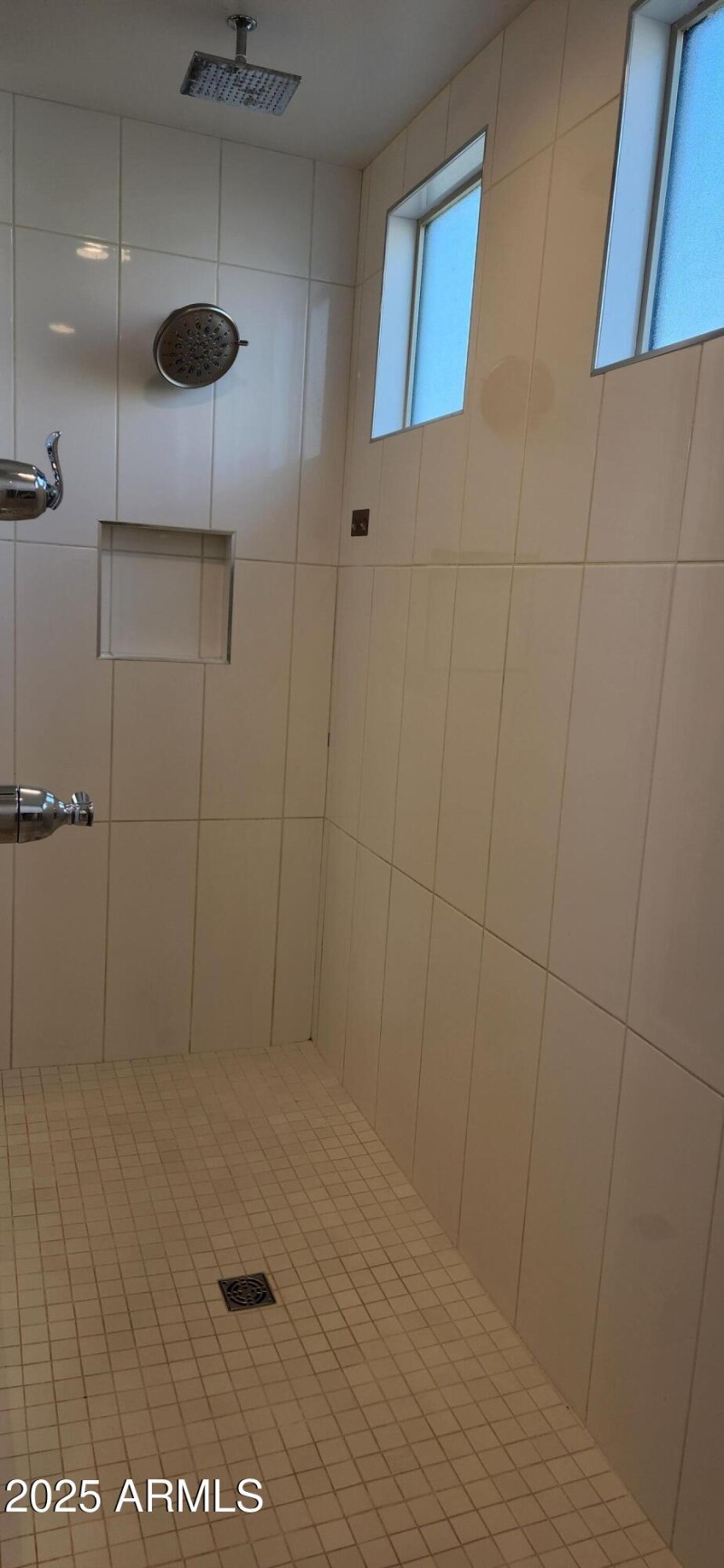 Luxury feature shower