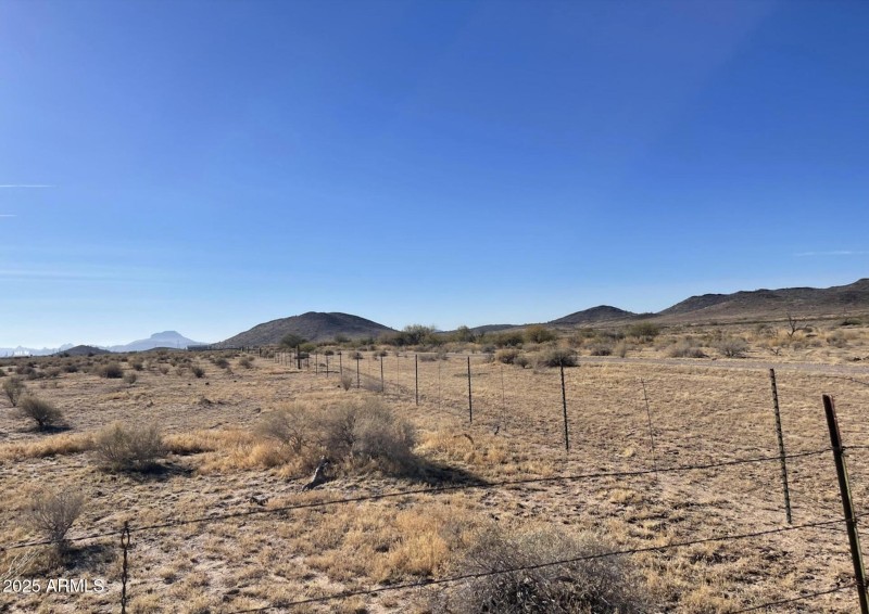 fence line 1