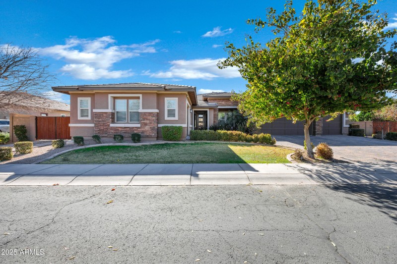 1783 E Desert Broom Pl-4