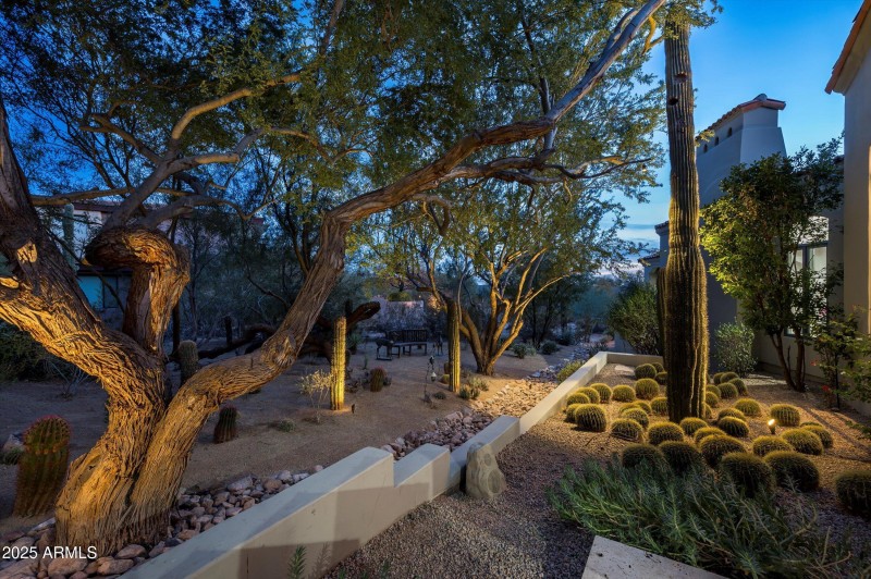 Desert Landscape