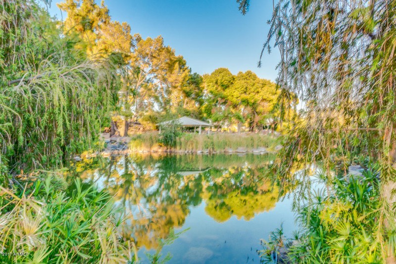 Neighborhood Lake