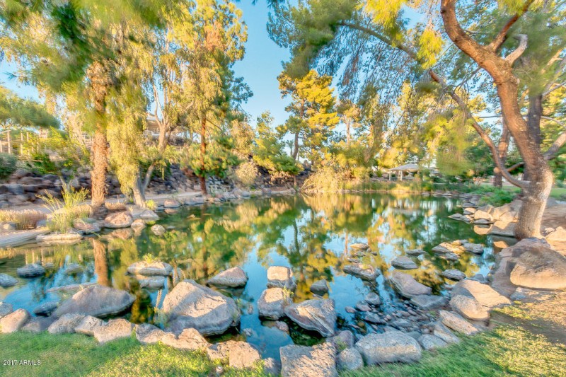 Neighborhood Lake