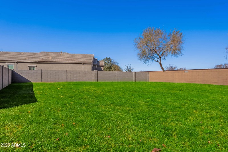 HUGE Backyard