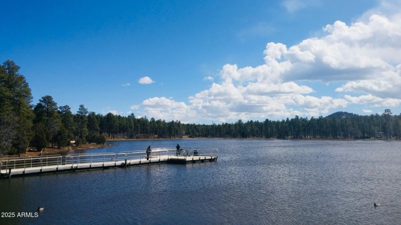 Pinetop 3