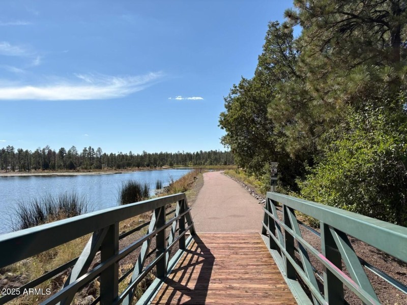 Pinetop 4