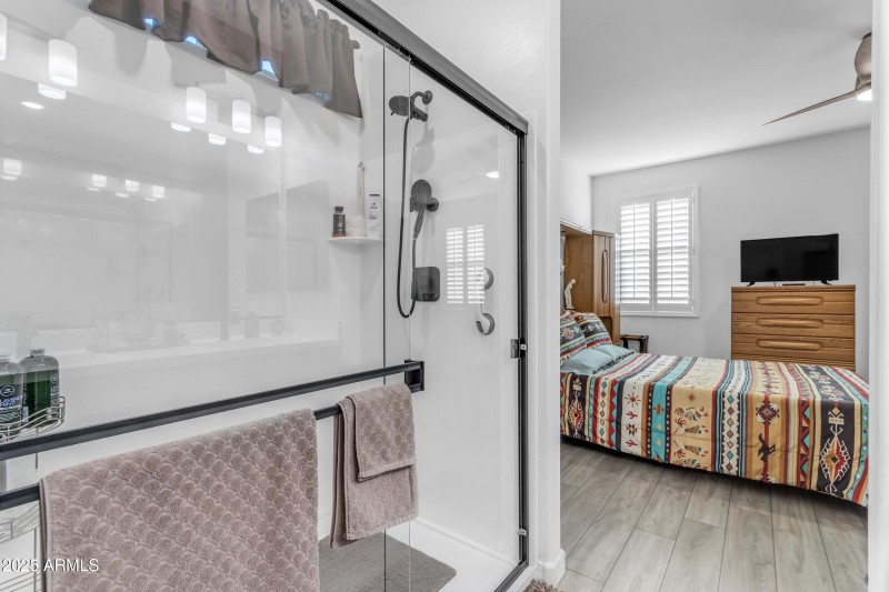 Walk-In Shower Master Bath