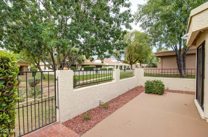 Topaz- back deck