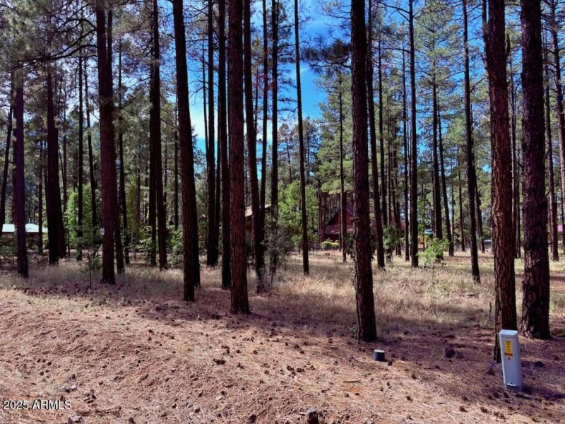Pinetop 4
