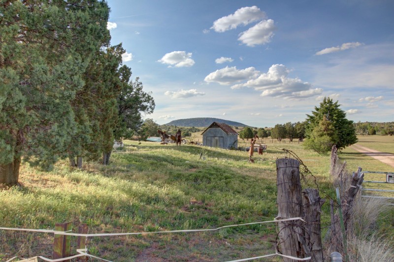 WIDE OPEN FIELDS LANDSCAPE