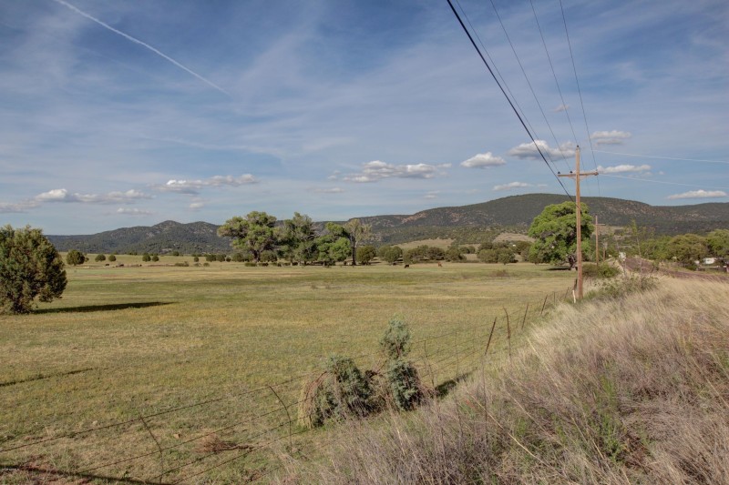 YOUNG FARMLAND 2