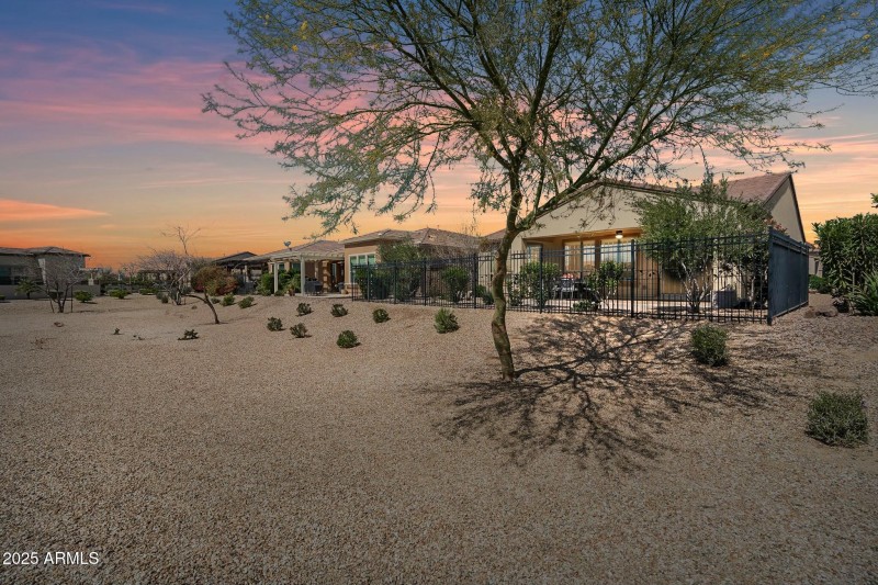 Backyard