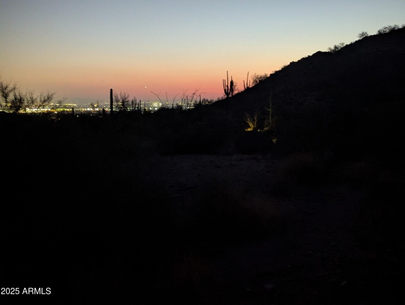 PXL_20250131_013334034
