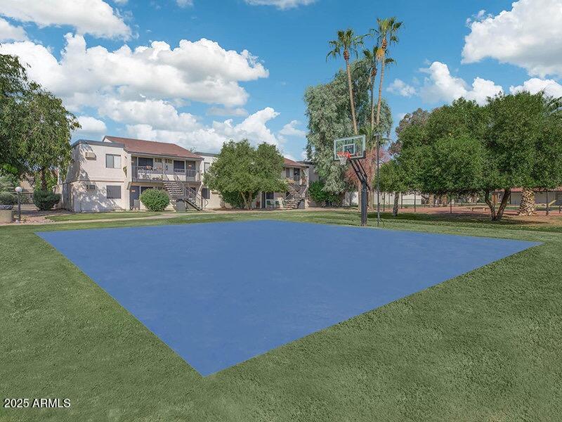 Basketball Court