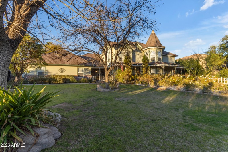 Front Yard