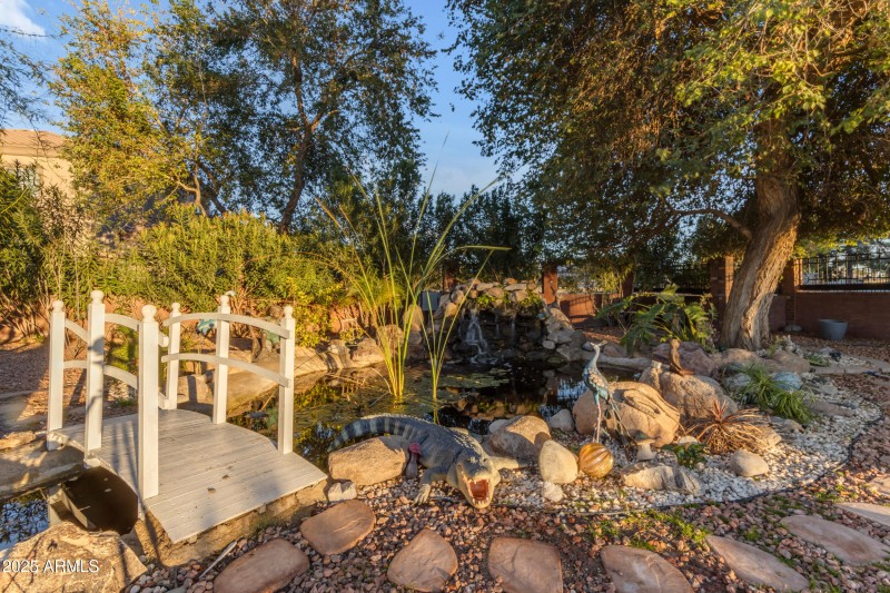 Pond