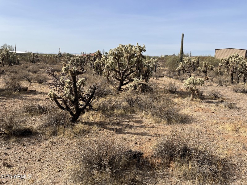 Middle of the property