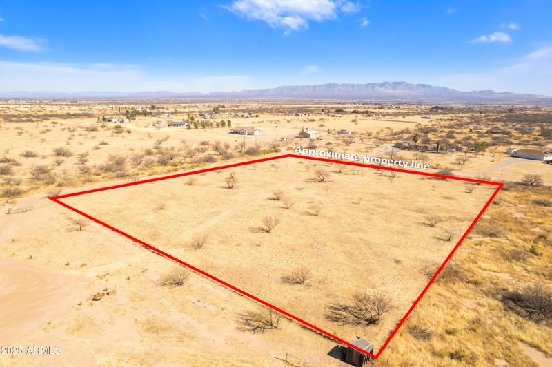 Photo Jan 31 2025, 11 41 09 AMA