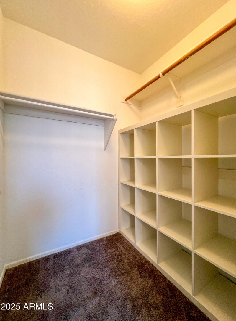 Downstairs BR Walk-in Closet