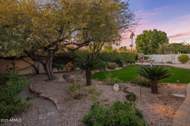Backyard