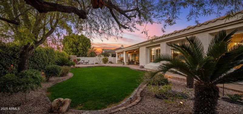 Backyard