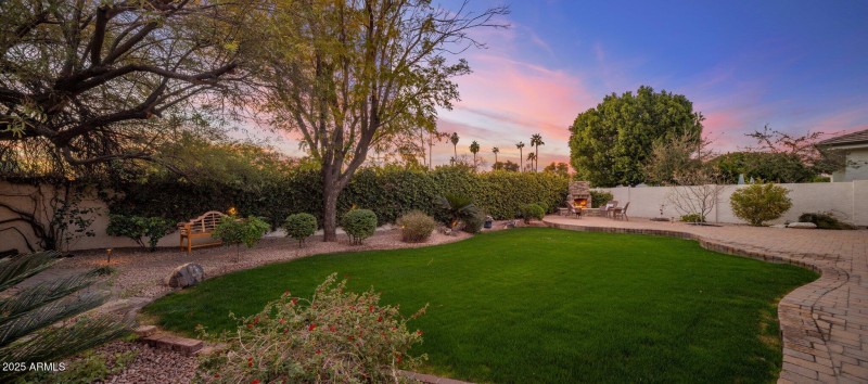 Backyard