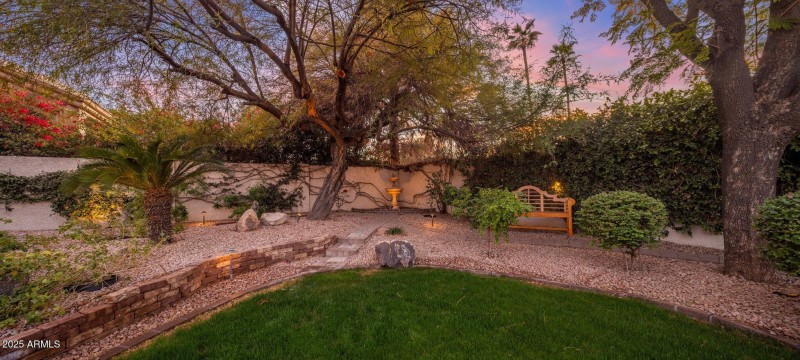 Backyard